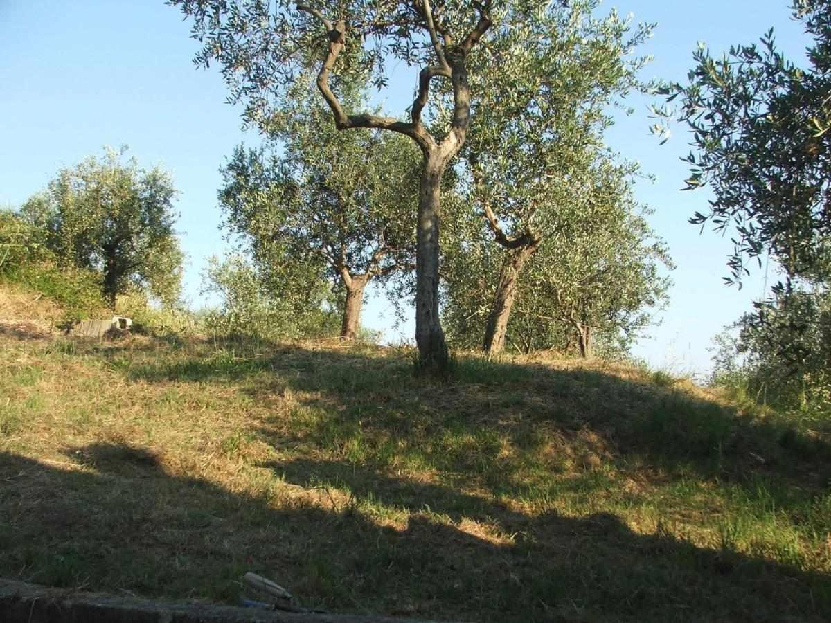 La Casetta Di Sofia Moneglia Εξωτερικό φωτογραφία