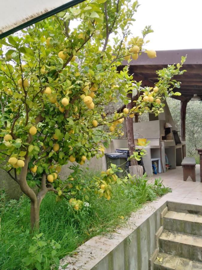 La Casetta Di Sofia Moneglia Εξωτερικό φωτογραφία