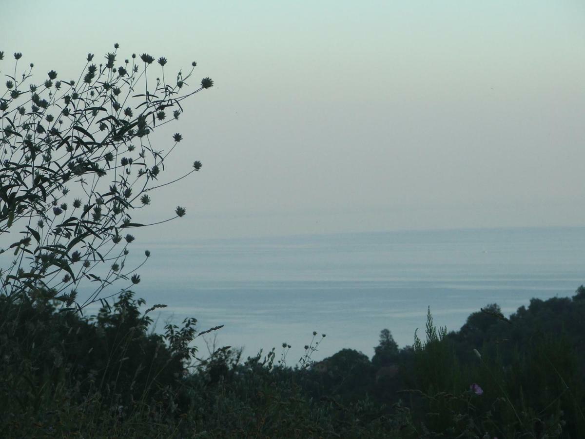 La Casetta Di Sofia Moneglia Εξωτερικό φωτογραφία